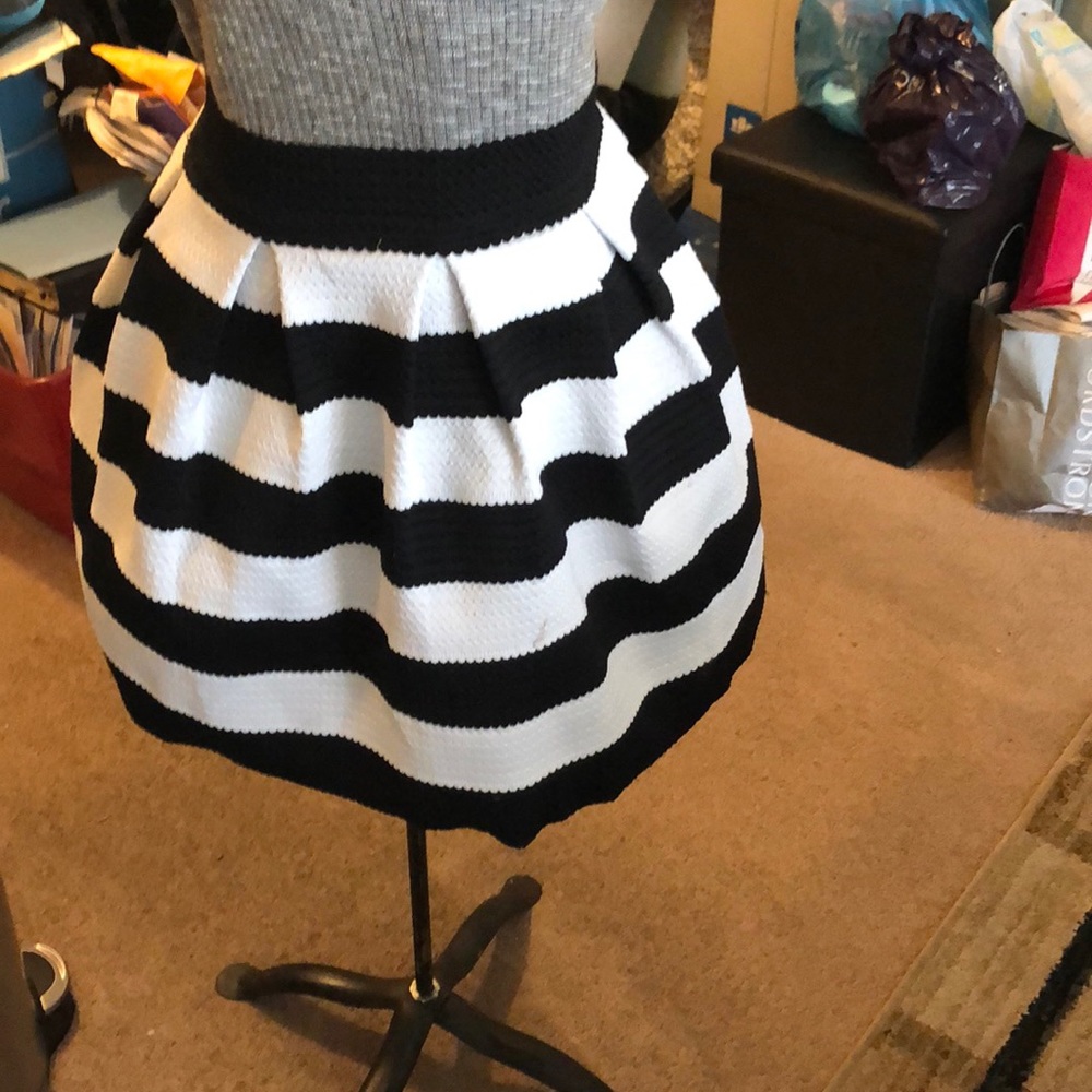 Express Skirt